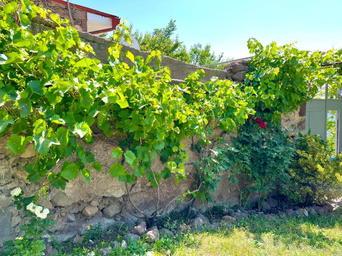Igor Bed And Breakfast Halidzor Exterior photo
