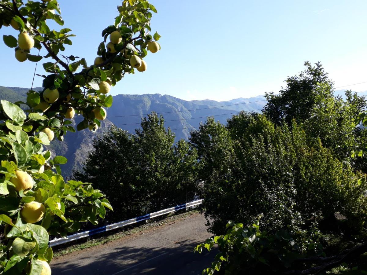Igor Bed And Breakfast Halidzor Exterior photo